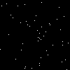 Gif of WHite does, moving slightly out of the way when they move