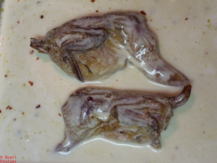 quail leg quarters in coconut milk, all spiced up
