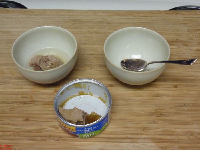 cat food can, food in bowl, lots of water with it