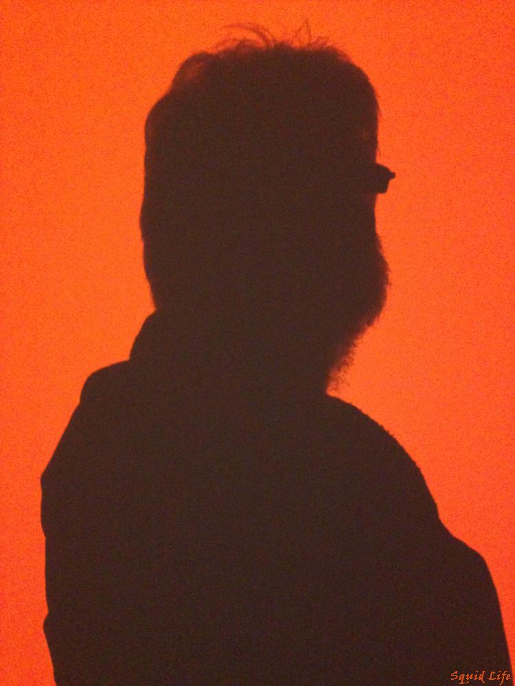 Me again, in siloette, black shadow features on an orange background, this was a video installation, in the rewind, reset phase
