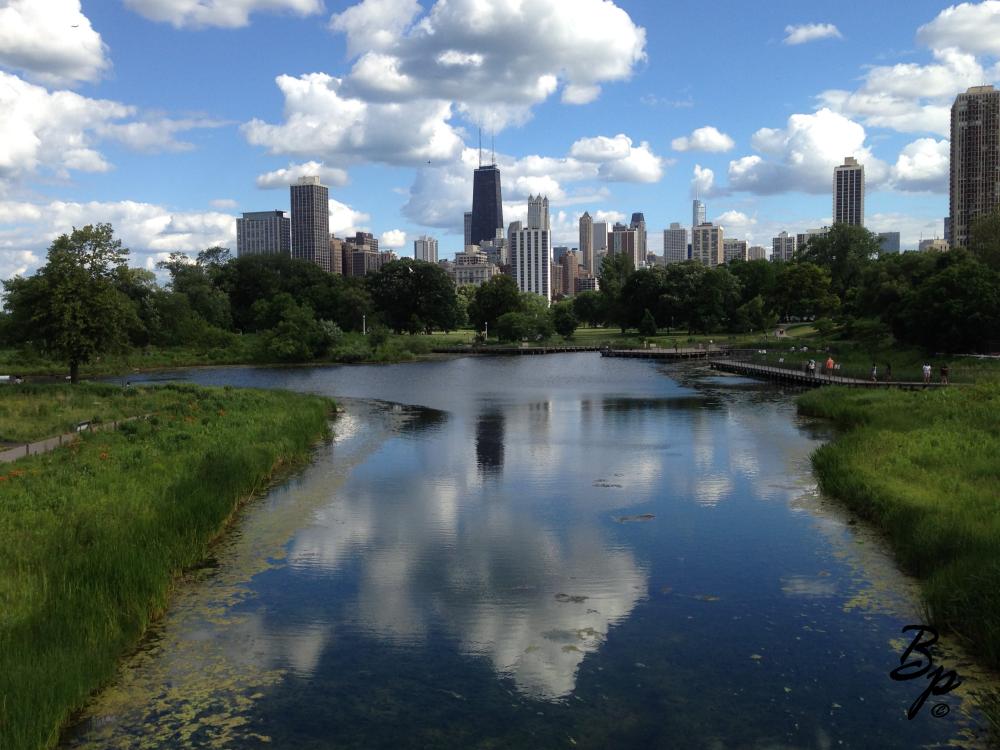 From The Bridge in Lincoln Park overlooking The Lagoon and The Skyline of The City of Chicago beyone, it is a postcard quality image... in my ever so humble opinion, this is not the location of said event, for one thing, this particular bridge is pedestrian only