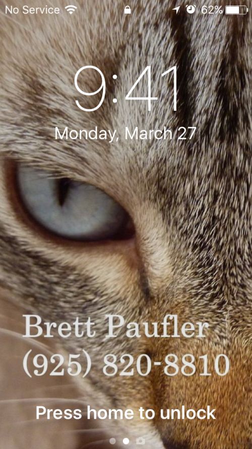 My Lockscreen, which includes my contact information overwritten on an image of my cat, or I suppose, at this point, of a cat that used to be mine
