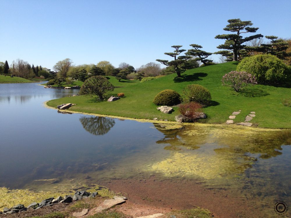 None of these images are iconic of an Arboretum, and in fact, I do not even know if I spelled that name right, this is one of the better views, images that I took, in my opinion, but it may not correlate very highly with what either I or most other folks think of when we think of the arboretum, it was a nice sunny, spring day, and the journey there was made to view the first moments of spring, that first week or two of buds, leaves filling the air. weeks, maybe months later, it is definitely late spring, and that early spring, right around Easter time, was especially magical