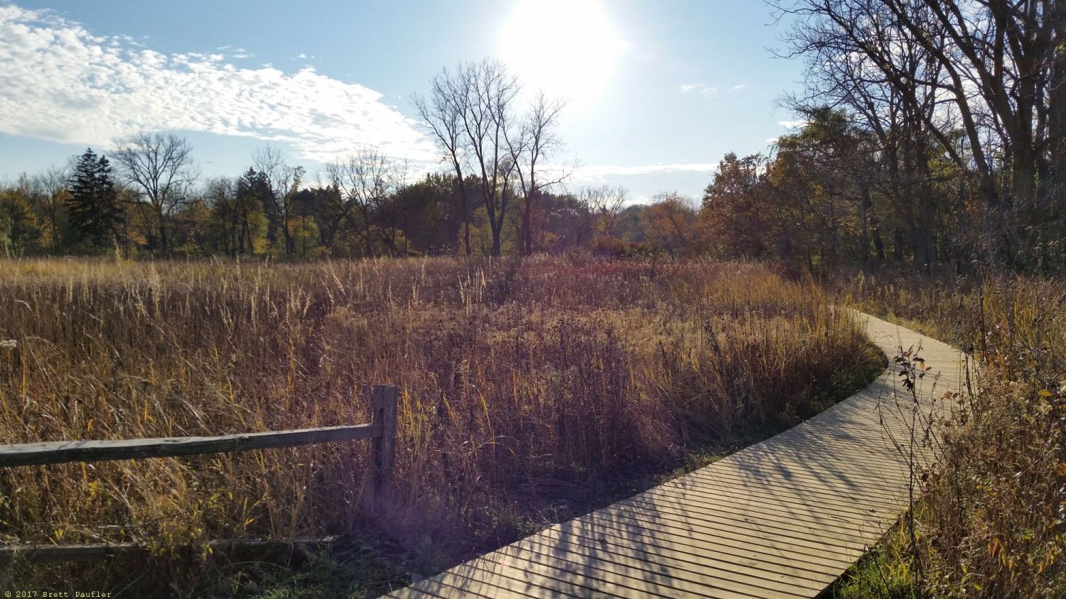 Back to the forest preserve, this is a woodwalkway path through a reed filled, marsh, bog, prairie lowland type area, brown grass field, shoulder height, surrounded by trees in the distance, coming to the end of a nice day