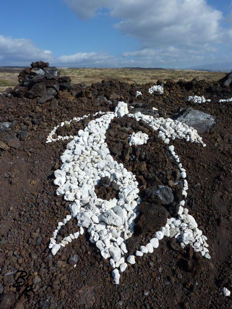 In Hawaii, they have been known to stack rocks by the side of the road to make pretty pictures, the coral from the sea contrasting with the ah-ha lava, this one is of a Sea Turtle Sporting a Ying Yang Symbol on the back of its shell
