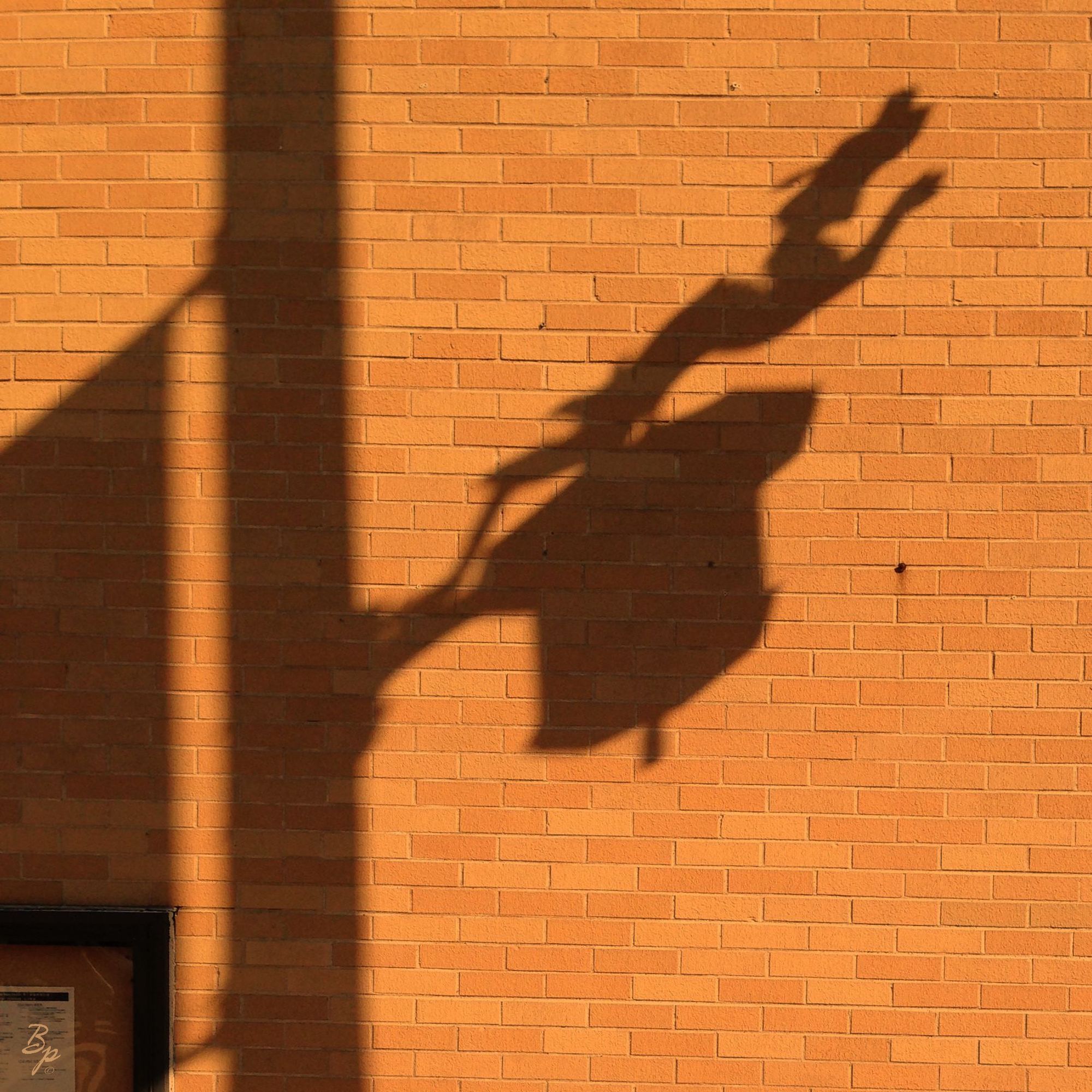 The effects do not change this image much, a shadow from a street light fixture, down in china town, one of the better images, captures a feeling, though I think I like it better alone than on the page