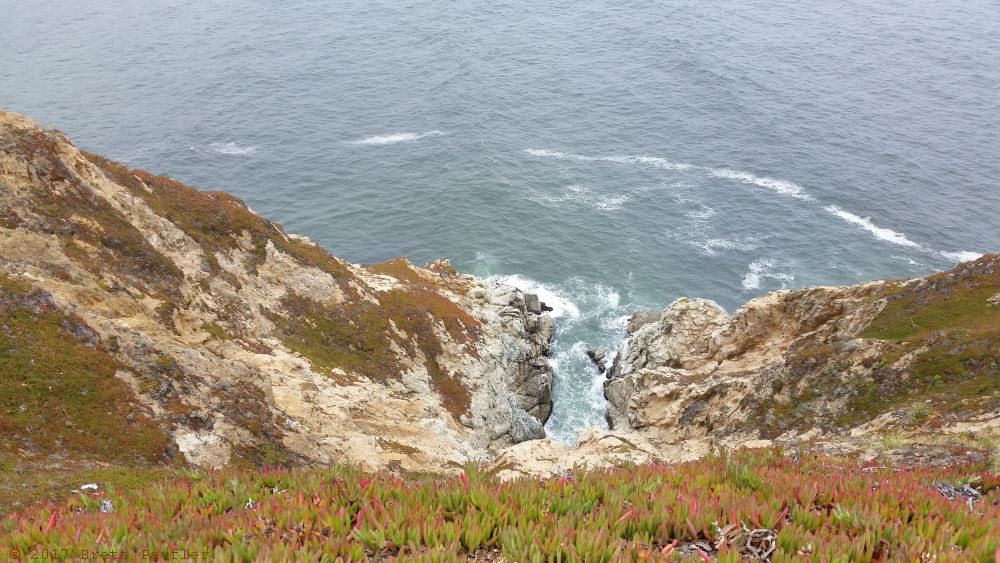 This is a vertigo inducing image, or is to me, I know that I had to saddle right up to the edge, plant those feet firmly, and kind of peer over the edge, looking down a grass, succulent shrouded cliff, into a little cove, nice, I like it, and if viewed as a thumbnail, which I am doing now, more picturesque than cliff defying