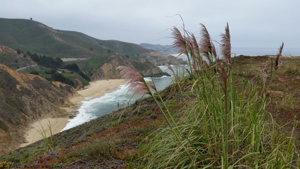 More or less the same viewpoint as the last, that is to say, picture taking spot, but with the camera pointed south, or to the left, down the coast, showing a beach, with softening fronds in front, the fronds really soften it up, and likely as not why the image is included, foreground fronds and cliff edge, mid would be the beach and cliff side hills, and then the sky and waves and fog and such taking us to infinity, so a full view, basically a classic intro to photography shot, of which I am pleased