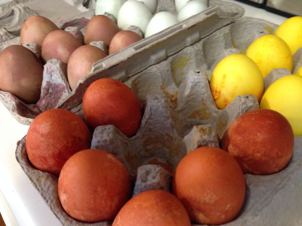 In egg cartons, the image on the left contains natural coloring, let us see if I can remember, onion skins, red cabbage, tumeric, and beets, the tumeric was the yellow, and the best