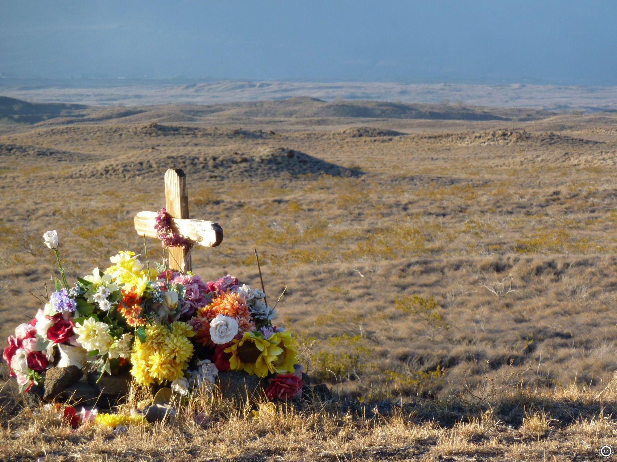 Road Side Shrine to the God Hwy... or a cross and flowers overlooking a vast expanse of open land