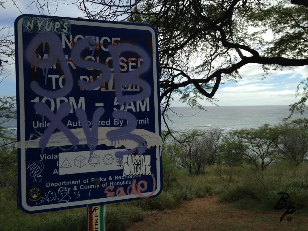 If I had to guess, I would say this was taken on the drive from The Windward side to Diamond Head, back around the point, on a ridge, looking through trees, the ocean in the background, there might have been a surfer, in the foreground a sign, which has been heavily amended with hidden meaning by the local populace, it says the beach is closed late at night, but clearly, there is a disagreement of opinion, more to the point, if one trusted their citizens, why would there ever be a need to close the beach
