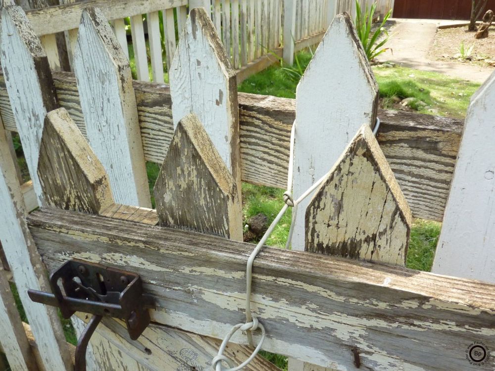 its a white picket fence or should that be a white picket gate, complete with peeling paint