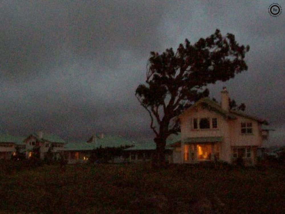 Hey, I used to live here, in this house, under the tree, best house in the subdivision, even if it looked a bit spooky at times