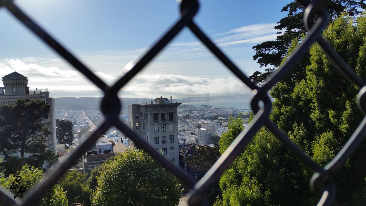 In the near ground is a cyclone fence, looking out over SF, the Golden Gate Bridge in the background, a mixture of sunny and fog, buildings filling the middle ground... fence, evergreen, tall buildings, city, bridge, fog, this was taken from atop a water storage unit which in turn was covered with a tennis court, so the tallest tennis court in the world