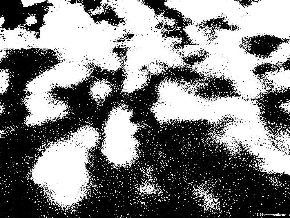 The light hit the pavement in an interesting way, this is that put through the same black white filter of many of the images, so if it does not look like anything, that is because it does not, some sort of reference to forgetfulness, river styx, all that jive, cool pic, shadows