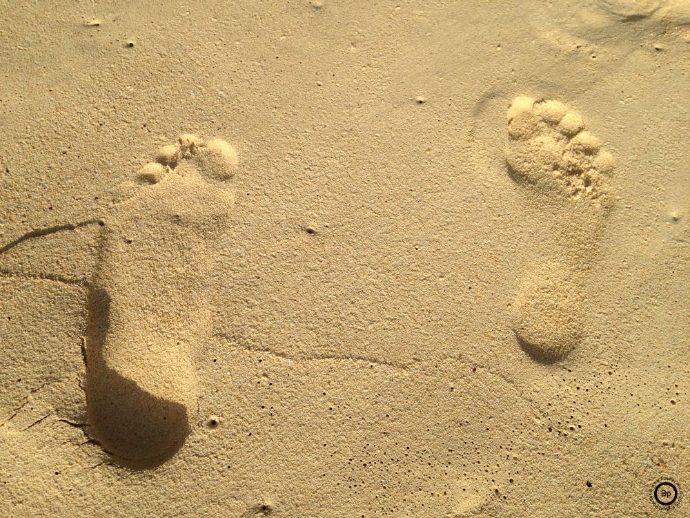 Two footprints in the sand, nothing more, all things are transitive, footprints on the sand being the poster child of such things, even if castles get better PR