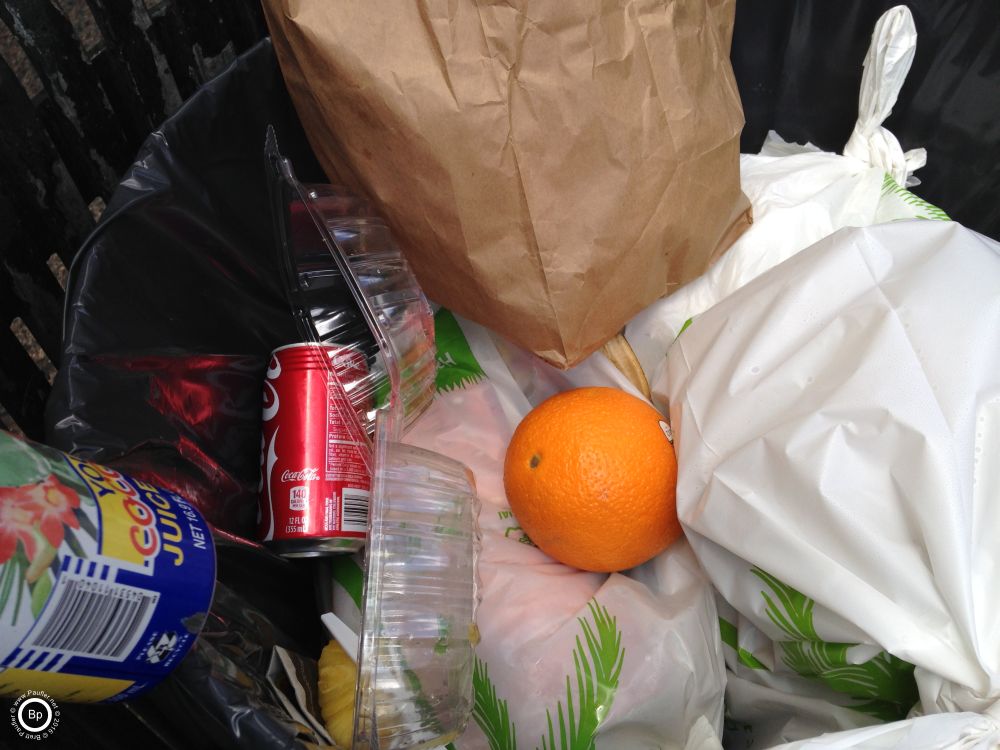I went for a walk and saw this orange, the fruit, sitting amongst the garbage in a trash can, the orange looked so good, so tasty, and yet, I did not take it, spent a long time looking at it, deciding not to take it, deciding to take a photograph of it instead