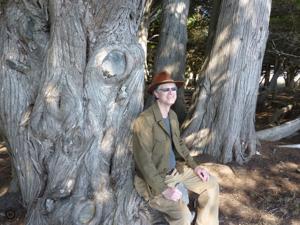 For me, to me, of me, this is a great image, I like it, a good weekend, hanging out in Northern California, Sea Ranch, a touristy, second vacation home, place by the sea, and this is me, sitting on a great tree, overlooking the ocean, and it was in this exact spot that I started working on Red Eye Blue, which has not been posted anywhere yet, and which I believe I stopped working on after the start of the second act