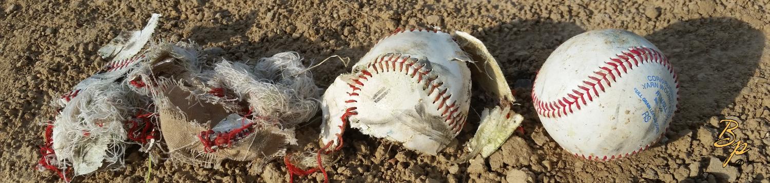 Baseballs, the reverse of Before, During, After, we have a three baseballs, the first totally destroyed by a lawn mower, the next not so much, and the third doing pretty well