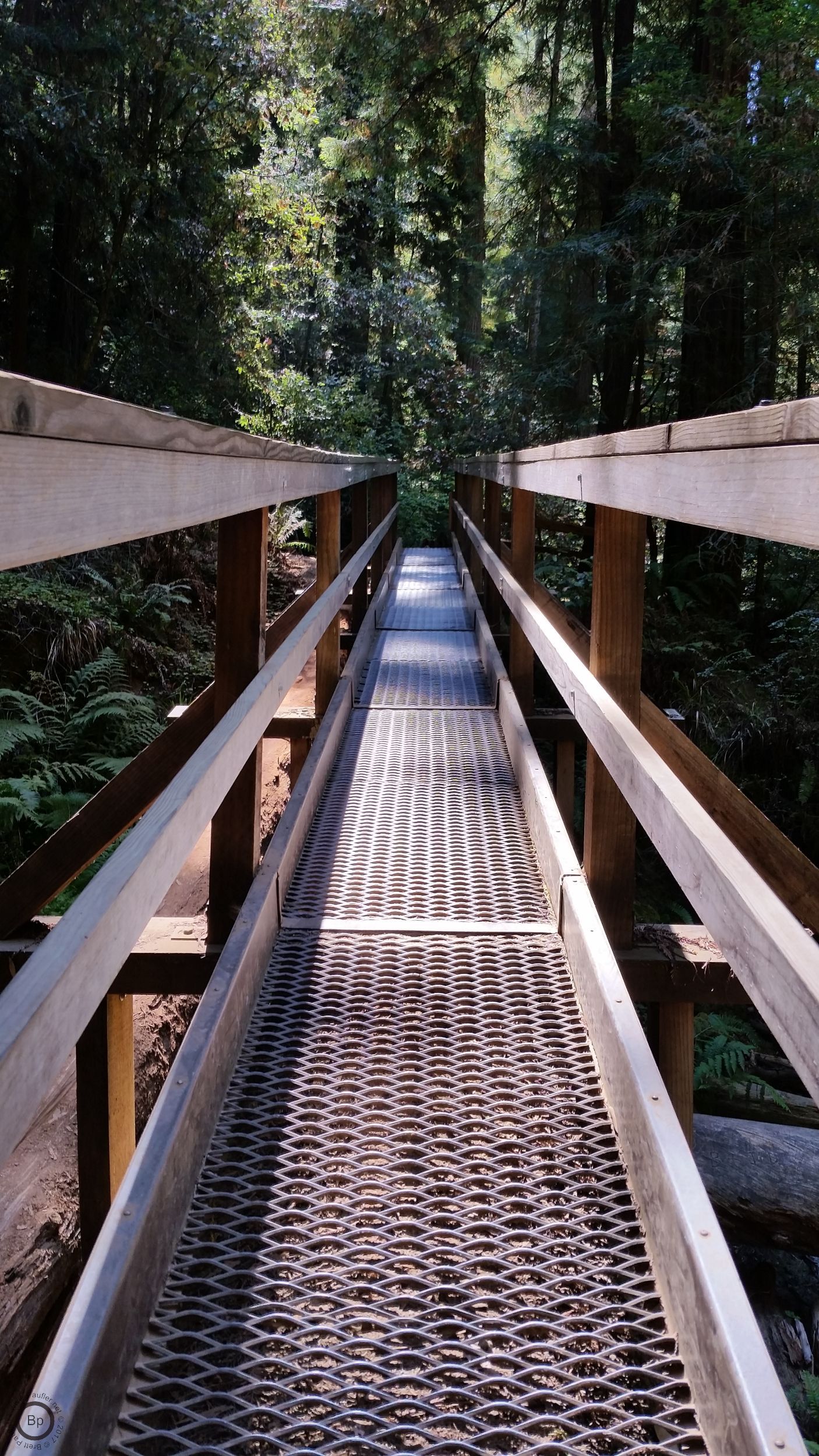 The two side images are of a log blocking the way, scratched full of initials, while the center image, this one, is of a grate covered bridge, to the wild, creek like rapids, mere feet below, so more looks than anything else