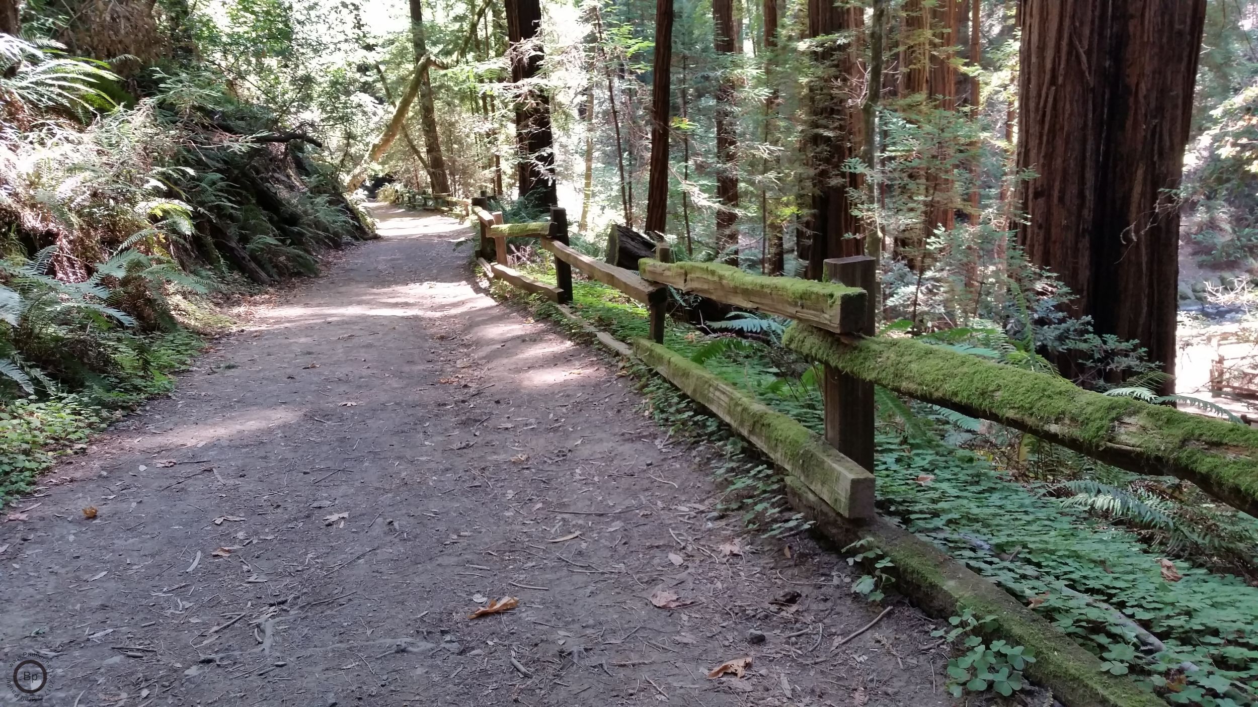 Coming back in after a long morning stroll that took several hours, this is the path less travelled, from a camp site that I do not think allows camping anymore, back to the main entry, less a few wrong turns along the way