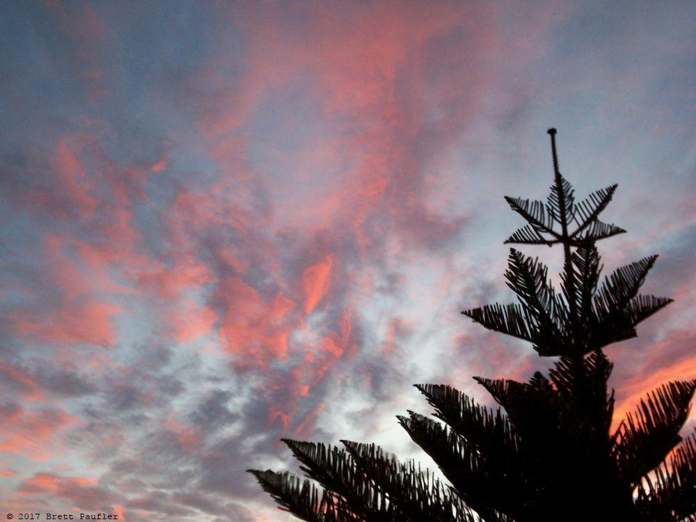 This was taken in the backyard on the Big Island of Hawaii, I lived there, you know, for like three years, so read it and weap, and this was a typical evening sky, for a year or two, I would walk outside at sunset, it was easy to remember as I would walk the cats around that time, and watch the sky change colors, it was wonderful, Mauna Kea in the distance, the stars beyond, there being telescopes on that there hill