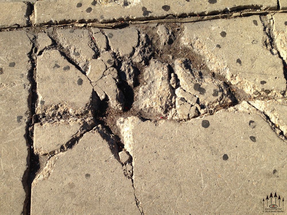 A bit of spalling concrete walk, just cracks, large cracks, I find this sort of thing visually captivating