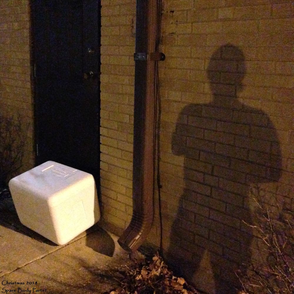 Um, why, who, what, a box right outside the back service entrance, it cannot be good, my shadow to the side, foreboding danger, if anything ever did