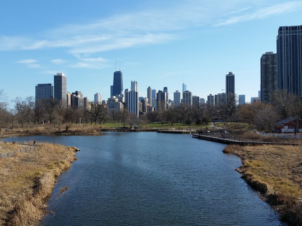 Lincoln Park looking South over the lagoon, towards Chicagos Skyscrapers