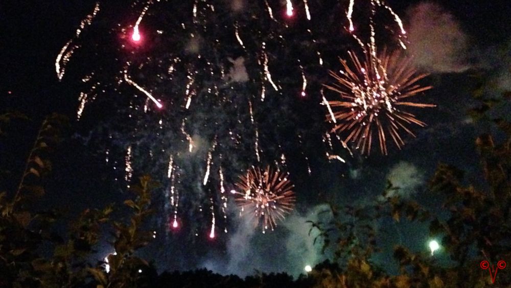 We really did have to stand on tip toes, peeking through the vines, over the fence, it was the ground works that were the hardest to see, the sparklers, I am sure we ruined or interupted the view for some of the others behind, but come on, if you care, stand, cross the street, I do not like to block anothers view, but at some point, you got to stand to see the show