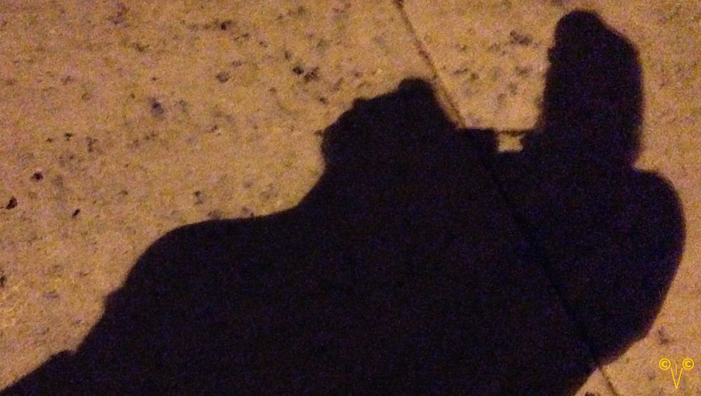 a shadow picture of the boy and the girl taken at the first fireworks display