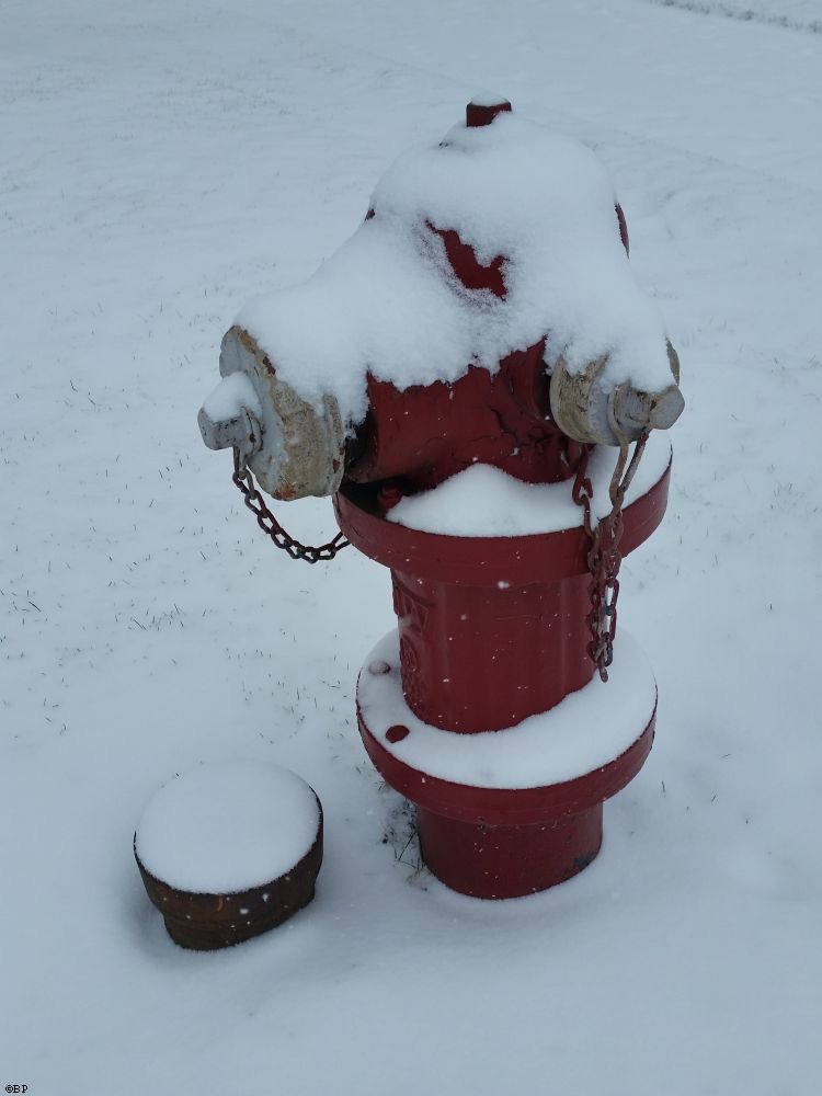 A fire hydrant covered in snow that reminds me of snoopy