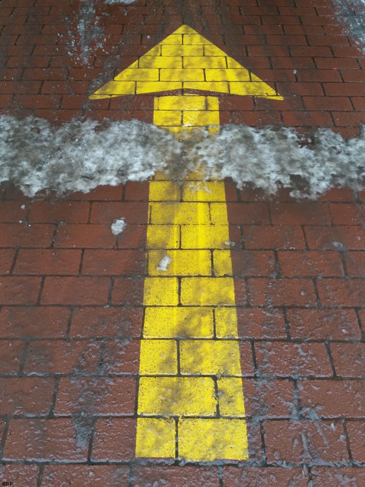 A Yellow Traffic Arrow half covered in snow on a brick pavement walk, I like to think this indicates that the previous writing entries are so good that one should start over and read them again, 