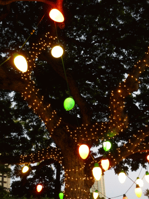 Blinking Christmas Tree Lights GIF