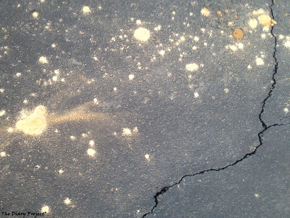Now, here is an image that has nothing to do with the food, images of food have grown old, I am loosing interest, and I have better images to post, so here is one of dirt on pavement, yes, see, much better than an image of food, it looks like an image of interstellar space to me