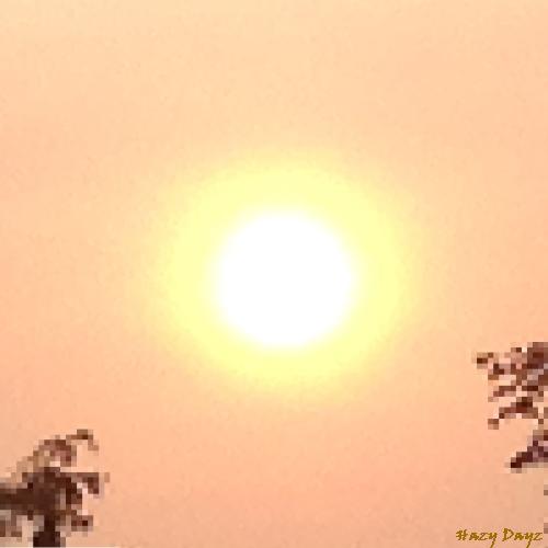 The sun near sunset showing off its corona through a hazy smoke filled sky