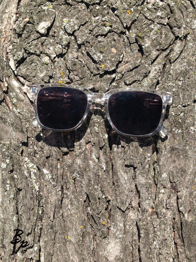 A pair of sunglasses wedged into the bark of a trees trunk, it was a bit of fun