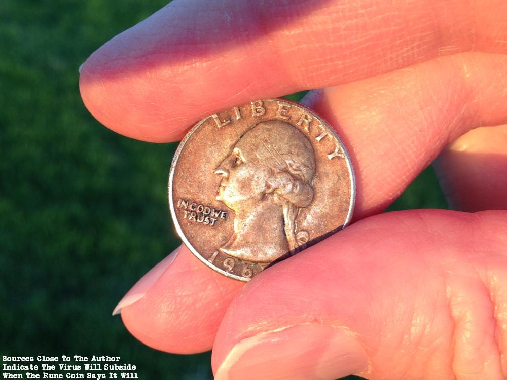 1 1965 Quarter Held in the Sun over a Green background (grass), heads up, partially occluded