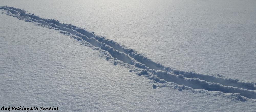 a single line of tracks descending left to right across the page in deep snow... or at least, a foot of snow