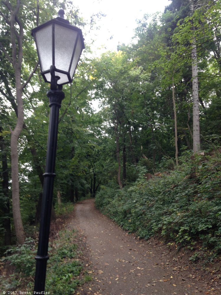 Path in the woods with streetlamps set up