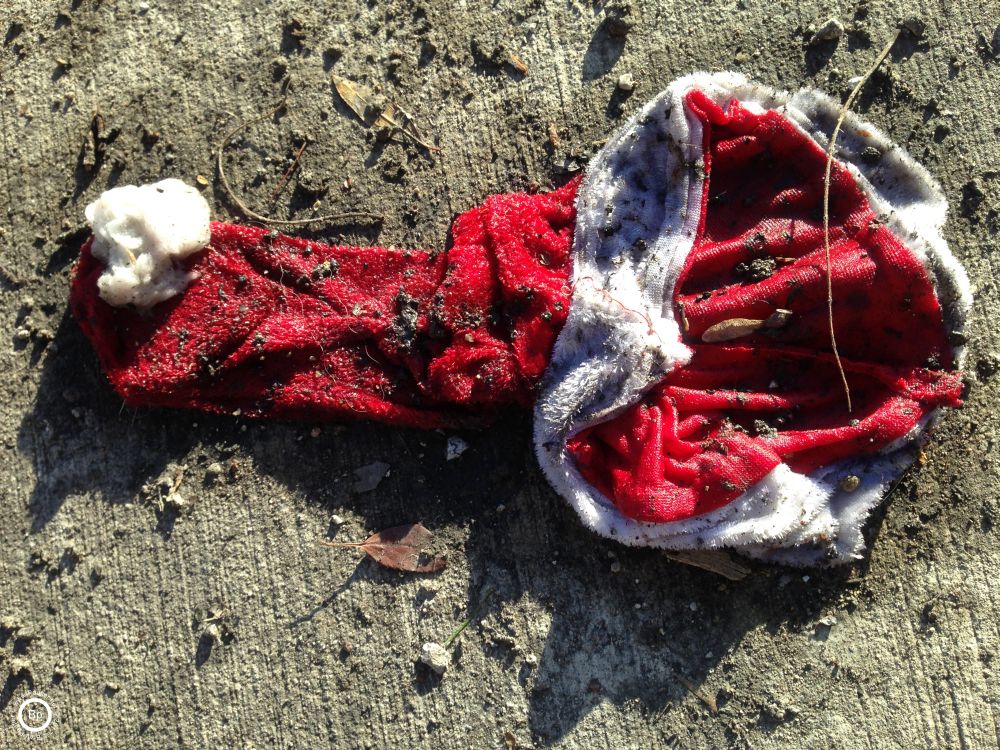 wet santas hat, perhaps a few days later or after the first snow melt, not so nice looking