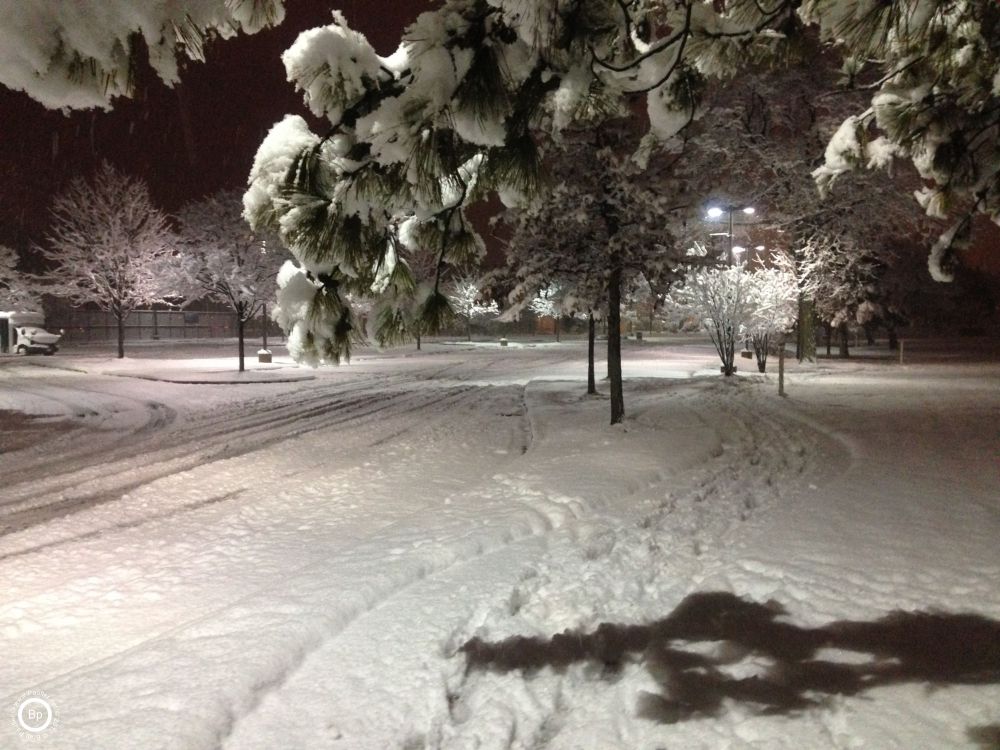 suburban street at night in the snow