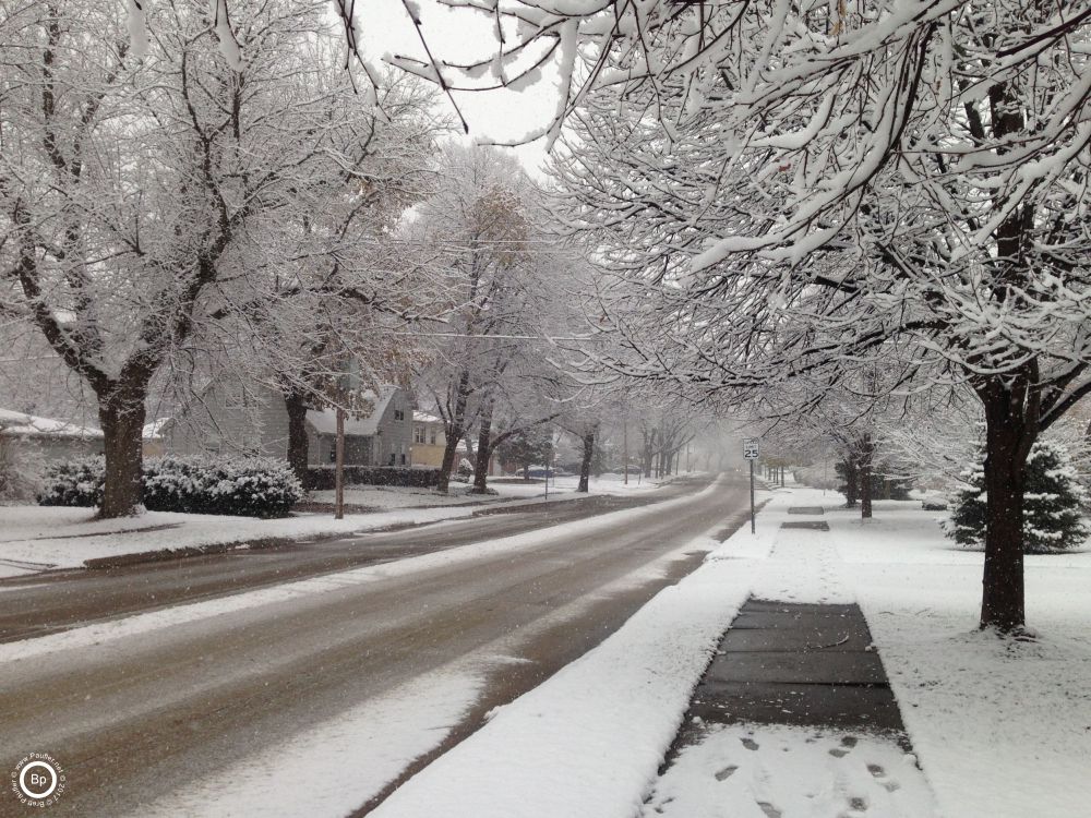 The same street, perhaps just a few steps down, this time without the tree limbs in the foreground, giving greater depth to the image, the street just fades away