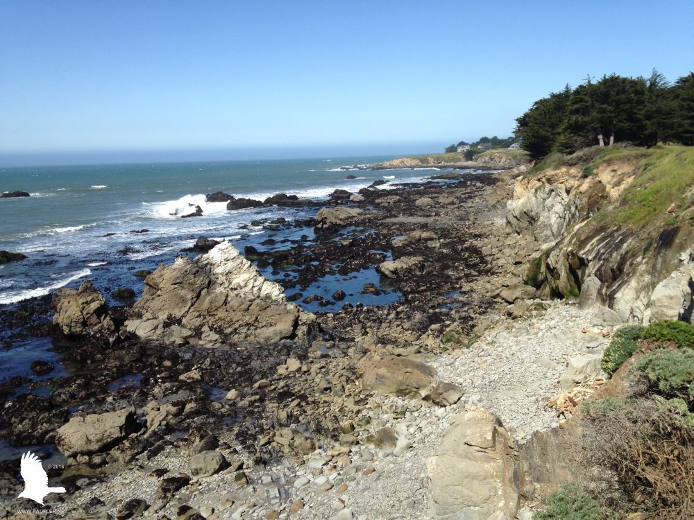 Northern California Coastline