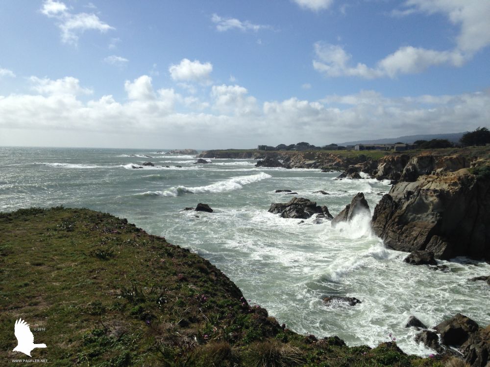 Northern California Coastline