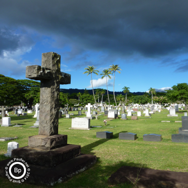 tropical cemetery with stone cross gravestone marker - raw image 