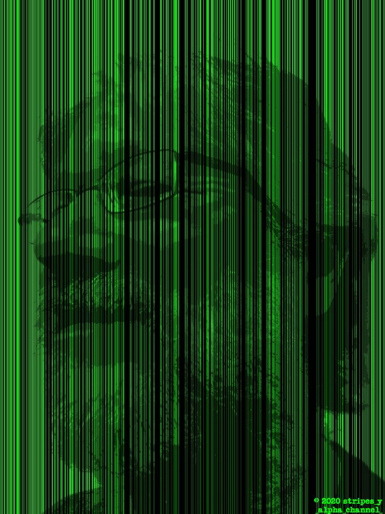 Green Colored vertical stripes make the whole of the image, so the revealed image of myself is a bit more nuanced