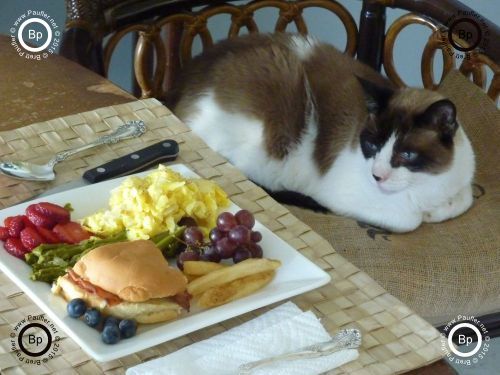 leftovers, again, eggs, french fries, some bread, and lots of fruit, strawberries, graps, blueberries