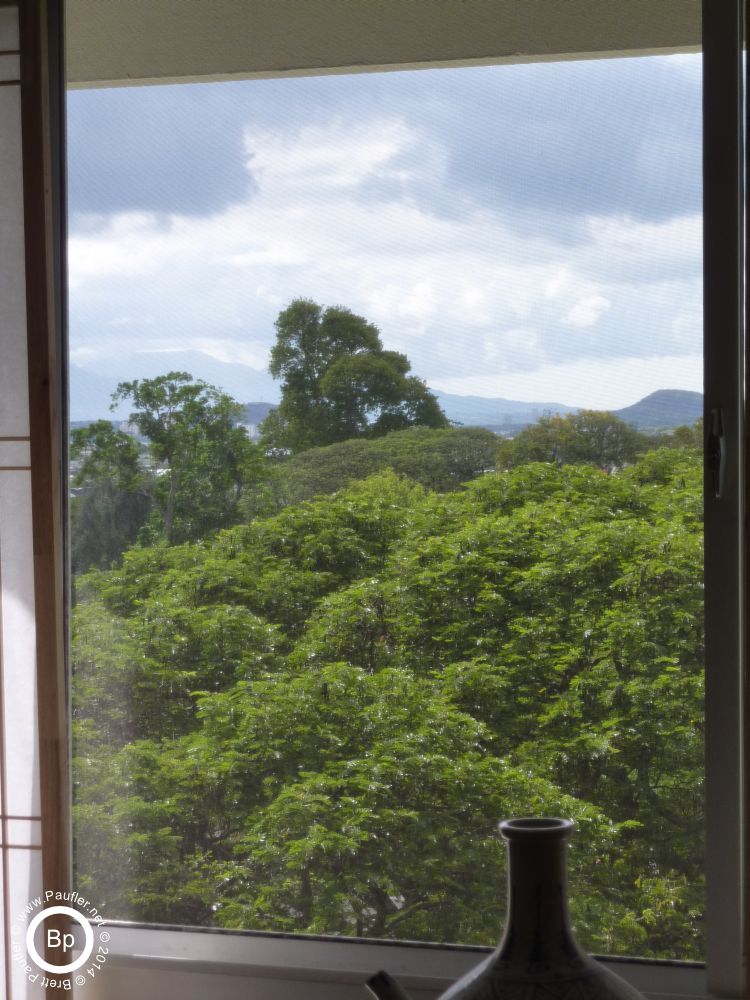View out the window, lush trees, etc