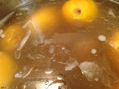 Top down view of the cool water, so that is grease showing, or tallow, you educated person, you, peeled mangos, beef far below